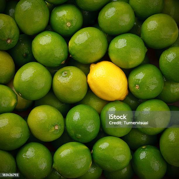 Limone Tra Lime - Fotografie stock e altre immagini di Distinguersi dalla massa - Distinguersi dalla massa, Limetta, Limone