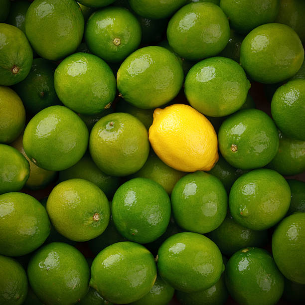 Lemon Amongst the Limes stock photo