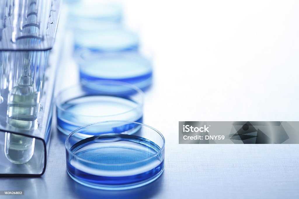 Investigação científica - Royalty-free Biotecnologia Foto de stock