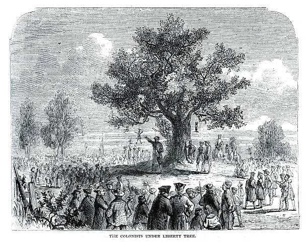 liberty colonists под дерево - colonial style boston american revolution usa stock illustrations