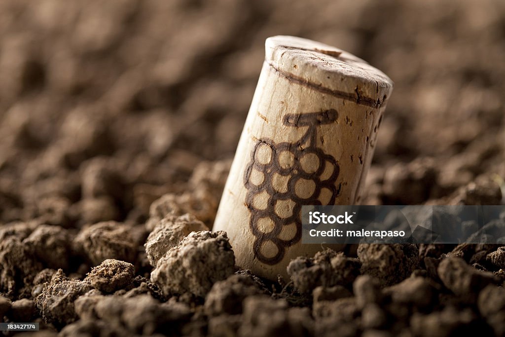 Wine cork Wine cork on the soil. Similar pictures from my portfolio: Wine Stock Photo