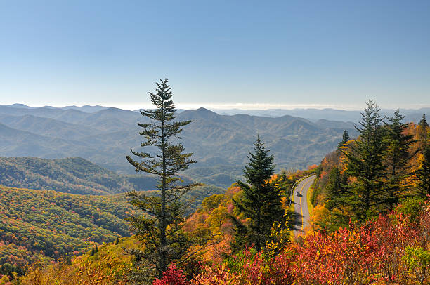 Waterrock Knob on Blue Ridge Parkway in Autumn A scenic view from Waterrock Knob on the Blue Ridge Parkway in early October at peak fall color. blue ridge parkway stock pictures, royalty-free photos & images