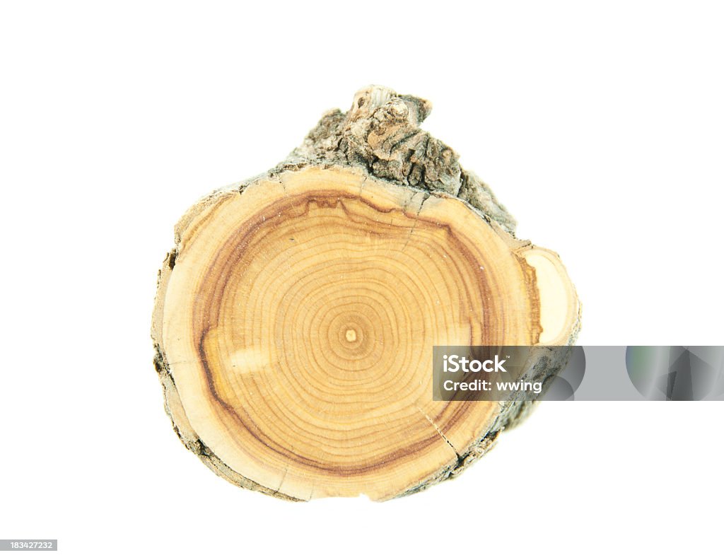 Trapezoidales madera de madera en blanco final - Foto de stock de Anillo de árbol libre de derechos