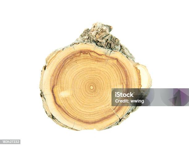 Trapezoidales Madera De Madera En Blanco Final Foto de stock y más banco de imágenes de Anillo de árbol - Anillo de árbol, Fondo blanco, Boscaje