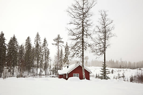 istock Red house in winter. 183427618