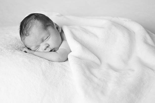 istock The Land of Nod 183427970