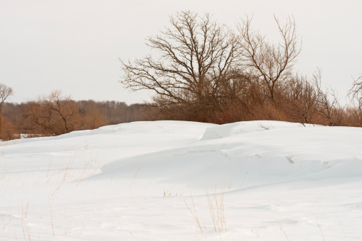Snowdrifts and trees in a rural winter scene.