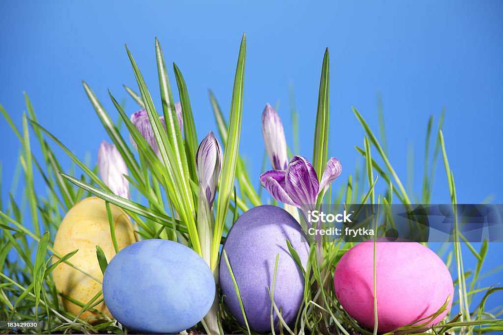 uova di Pasqua - Foto stock royalty-free di Croco