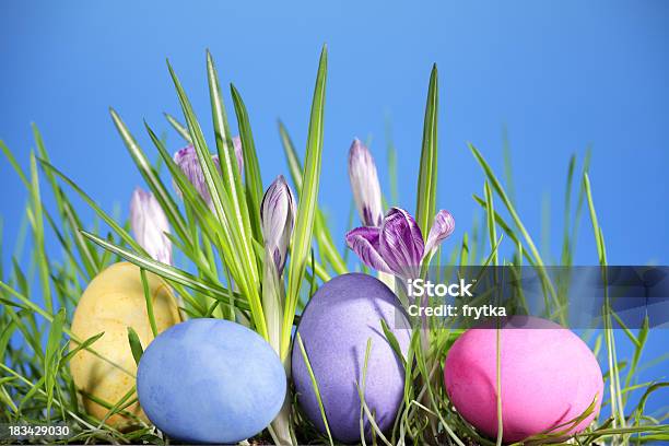 Uova Di Pasqua - Fotografie stock e altre immagini di Croco - Croco, Uovo di Pasqua, Blu