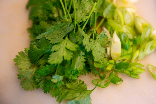istock Cilantro and Green Onion 1834291995