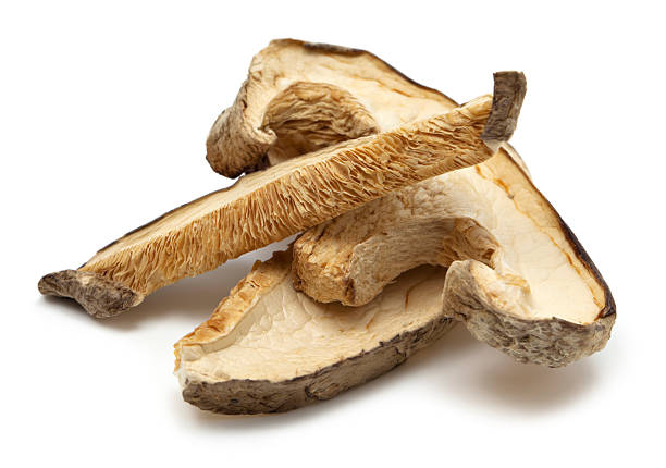 getrocknete pilzen - shiitake mushroom edible mushroom mushroom dry stock-fotos und bilder