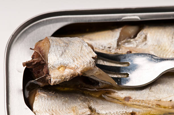 Sardines