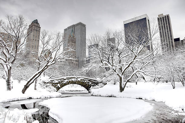 겨울 뉴욕 뉴욕시 - new york city new york state skyline winter 뉴스 사진 이미지