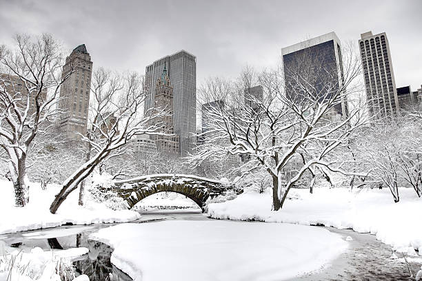 istock Winter in New York City 183430464