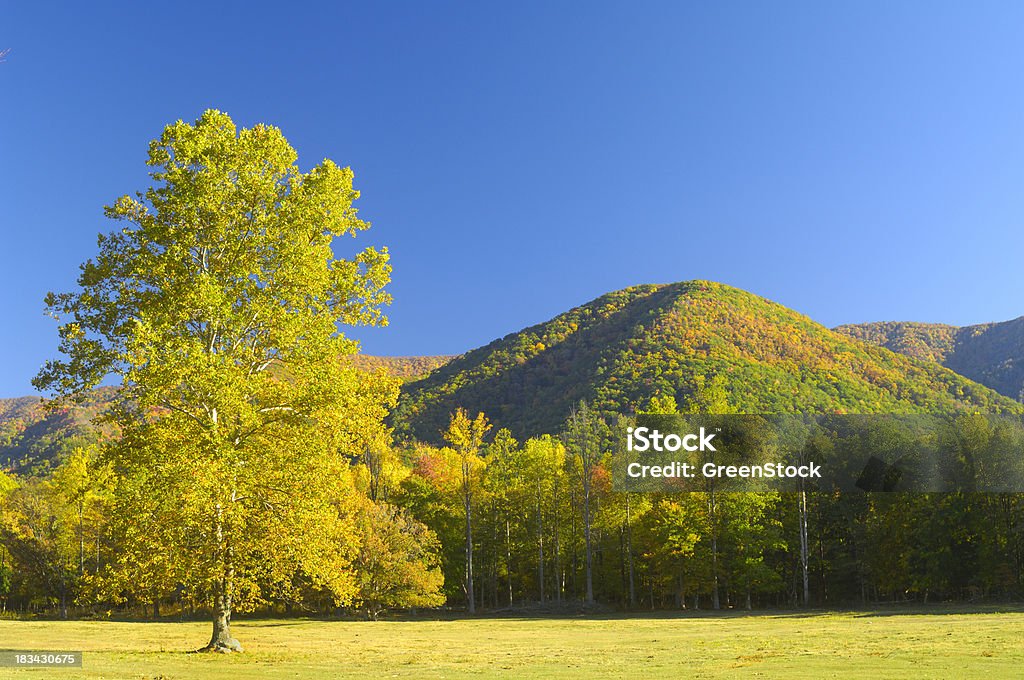 Cades Cove em finais de Outubro, Montanhas Great Smoky - Royalty-free Cades Cove Foto de stock