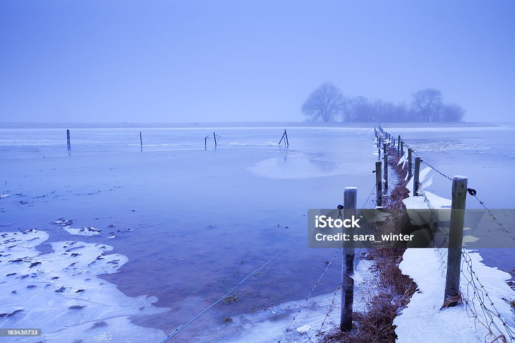 Flooded frozen floodplains at dawn, River Lek, The Netherlands "Flooded farmland with fences on the floodplains of a river. Photographed at dawn at a frosty, foggy morning." Agriculture Stock Photo
