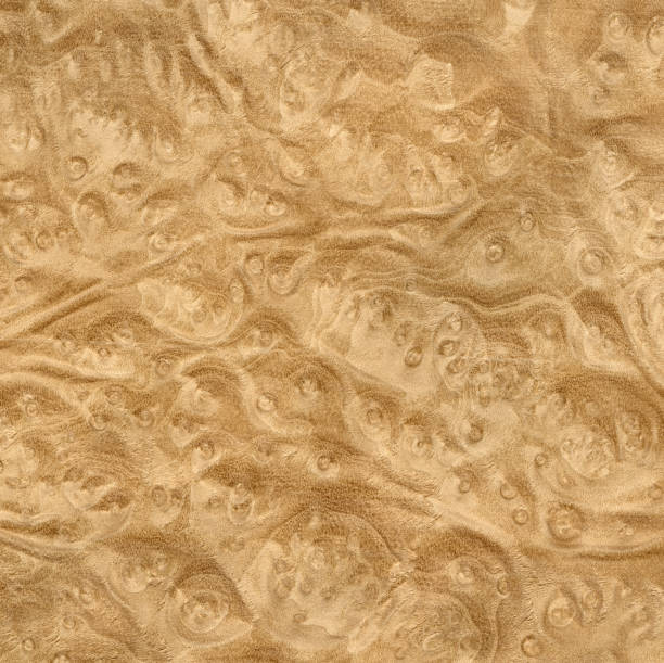 Mandragora Wood background Natural mandrake burl wood texture. Very high resolution and lot of details. mandragora stock pictures, royalty-free photos & images
