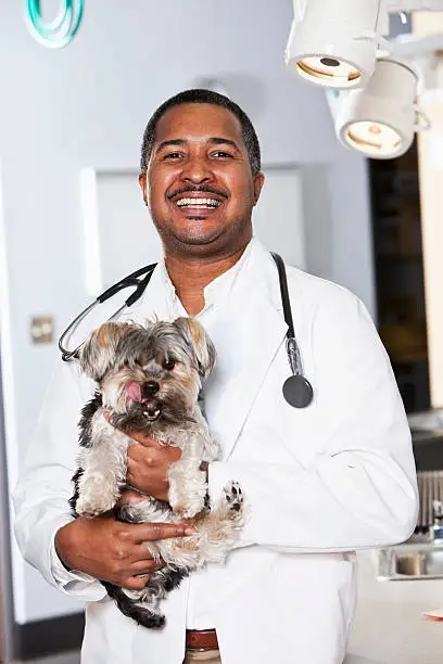 Photo of African American veterinarian holding dog