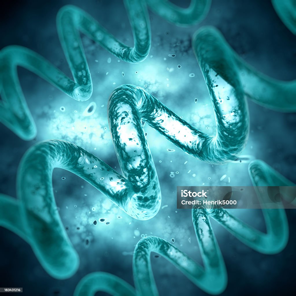 Spiral Bacteria / Chromosome High quality 3d render of bacteria under the microscope Lyme Disease Stock Photo