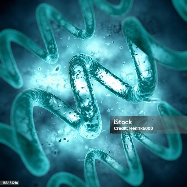 Spiral Bacteria Chromosome Stock Photo - Download Image Now - Lyme Disease, Magnification, Bacterium