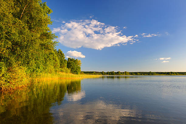 istock Reed and Trees on Calm Remote Lake at Sunset 183431422