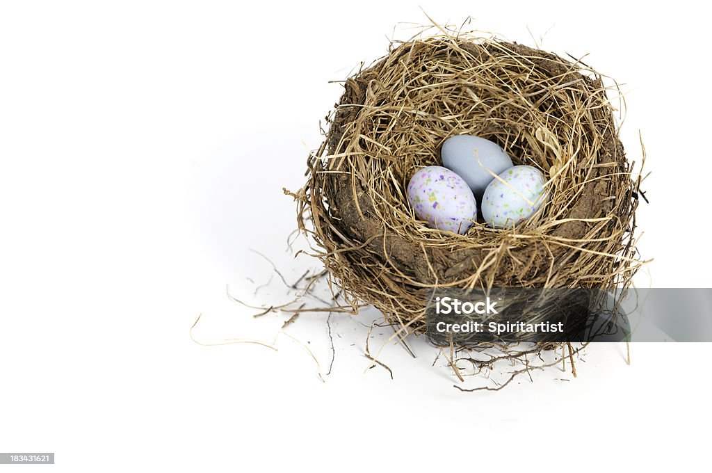 Huevos en un nido - Foto de stock de Azul libre de derechos