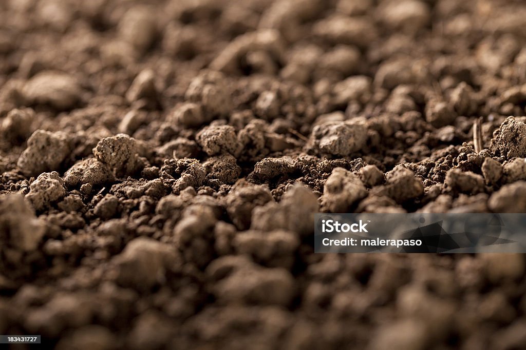 토양 - 로열티 프리 흙 스톡 사진