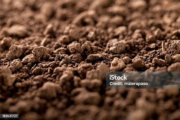토양 흙에 대한 스톡 사진 및 기타 이미지 - 흙, 클로즈업, 땅