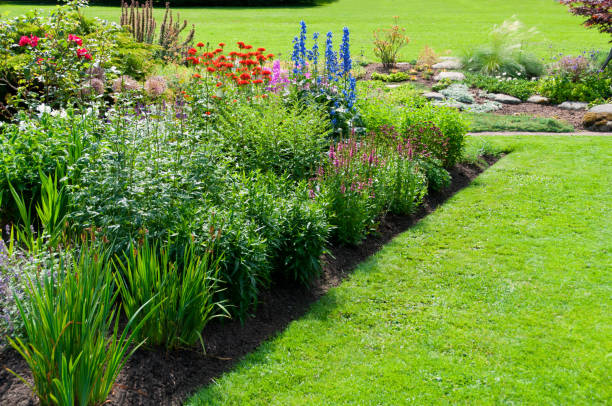 istock Flower bed in botanical garden 183431898