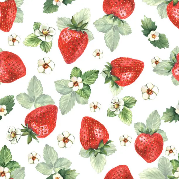 Vector illustration of Watercolor strawberry seamless pattern