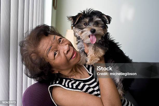 Cão Feliz E Mulher Idosa - Fotografias de stock e mais imagens de Terceira idade - Terceira idade, Cachorrinho, Mulheres