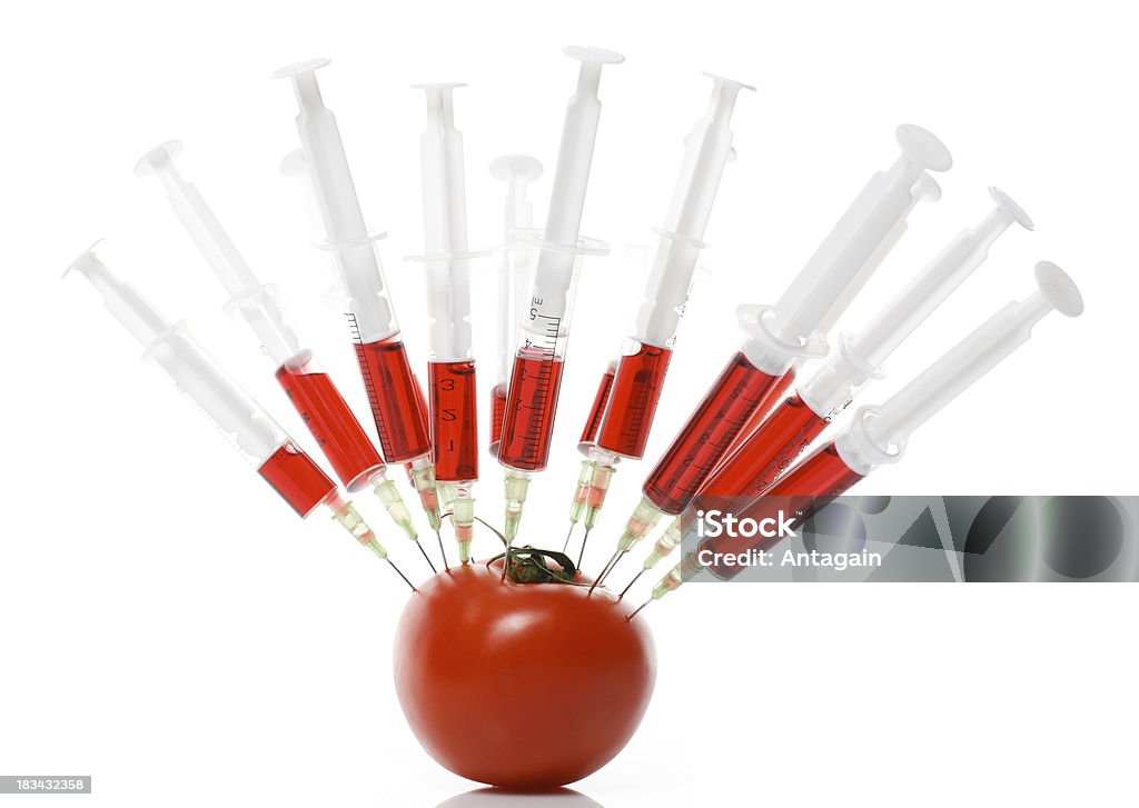 Tomaten experiment - Lizenzfrei Abnehmen Stock-Foto