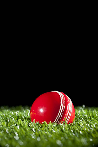 Cricket ball on the grass at night Cricket ball on the grass at night. Black background extreme close up of blades of grass stock pictures, royalty-free photos & images