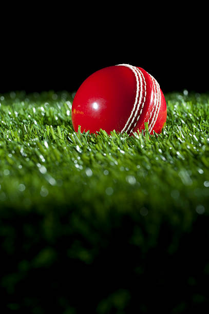 Cricket ball on the grass at night Cricket ball on the grass at night. Black background extreme close up of blades of grass stock pictures, royalty-free photos & images