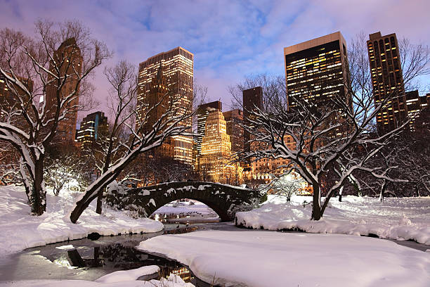 istock Winter in New York City 183432927