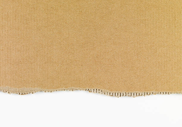 Ripped Cardboard XXXL