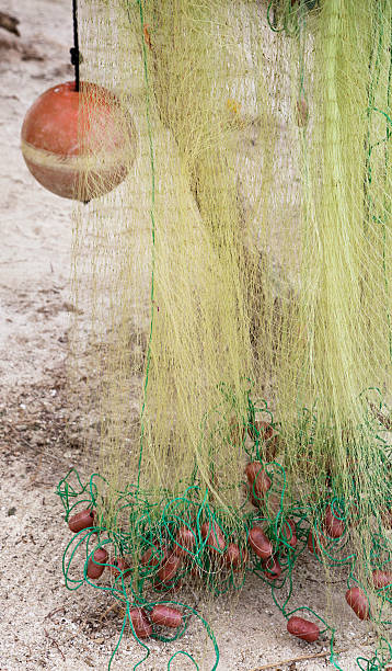 istock Fish Net and Red Buoy on the Beach 183433267