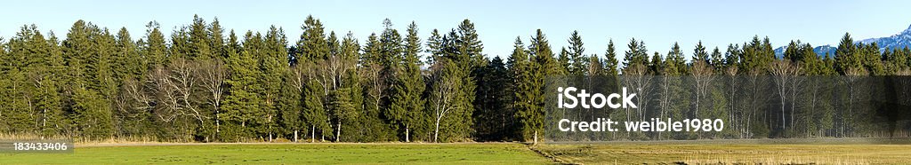 Reihe von grünen Bäumen und Holz XXL-Landschaft Panorama - Lizenzfrei Baum Stock-Foto