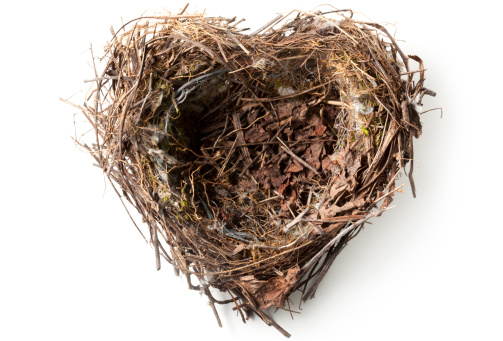 Heart-shaped nest. Some similar pictures from my portfolio: