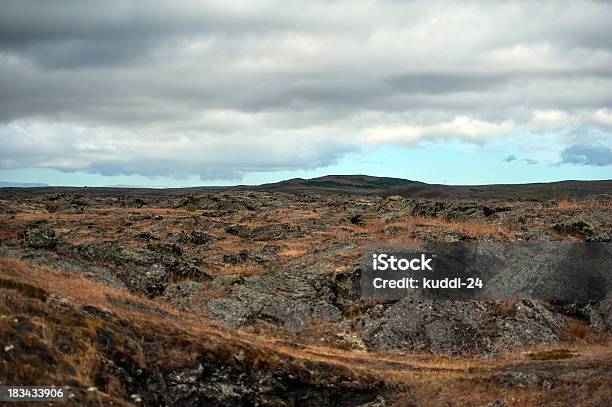 Iceland The Northeast Lava Field At Reykjahlíd Stock Photo - Download Image Now - Europe, Grass, Gray Color