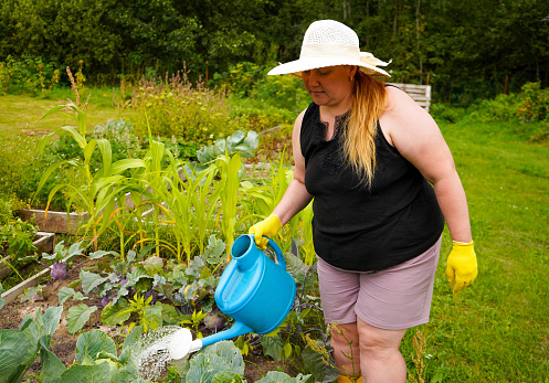 Woman watering plants in vegetable garden on sunny day