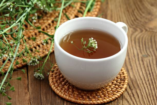 istock Herbal tea from herb Capsella bursa-pastoris, also known as  shepherd's purse 1834377743