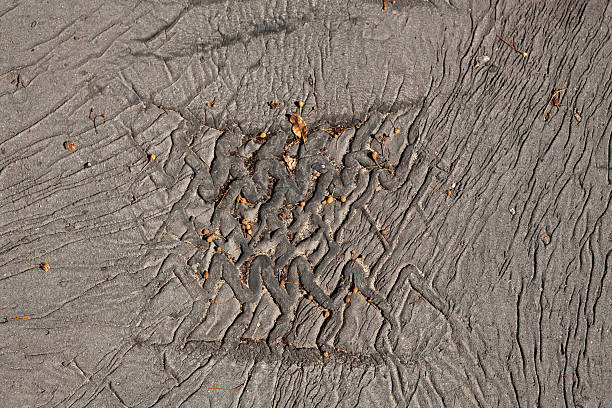 istock Motorcycle tire imprint on the hot asphalt 183437868