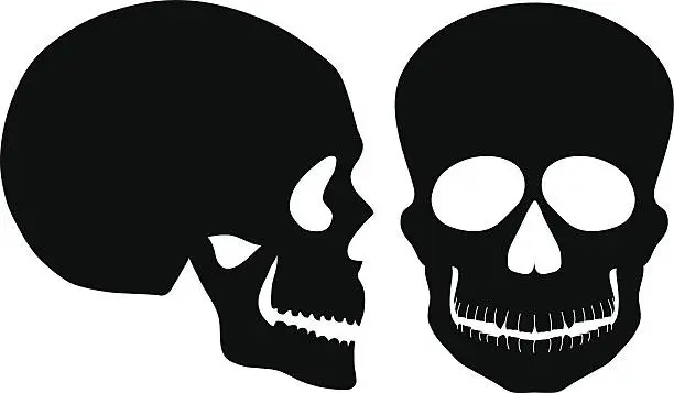 Vector illustration of Skulls Black and White Front Side View Vector Illustration
