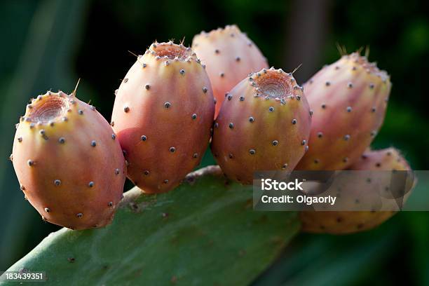 Cactus Di Pera Pungente Con Frutta Rossa - Fotografie stock e altre immagini di Ambientazione esterna - Ambientazione esterna, Cactus, Cibi e bevande