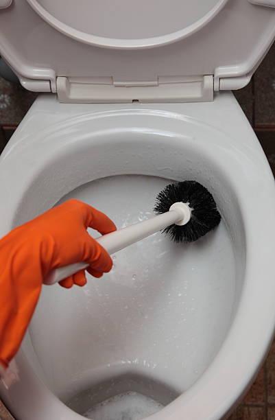 istock Gloved hand cleaning toilet bowl using brush 183439766