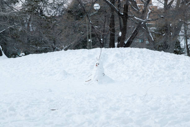 北海道の冬の雪だるま
