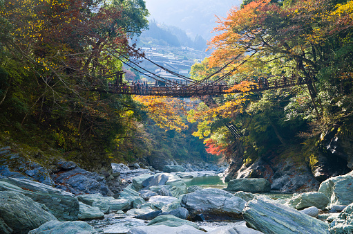 Iya valley and Kazurabashi vine bridge in Tokushima prefecture, Shikoku, Japan.