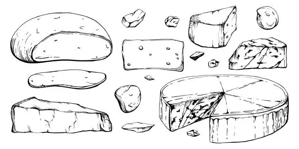 Vector illustration of Hand drawn vector ink illustration. Assortment of cheese mozzarella parmesan edam emmental gruyere gorgonzola. Set of objects isolated on white. Restaurant menu, cafe, food shop package, flyer print.