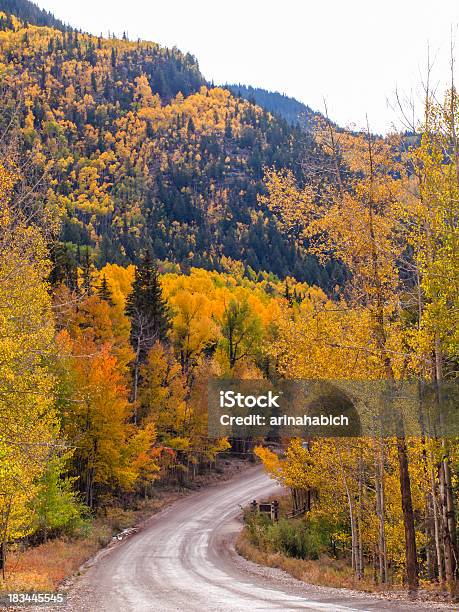 秋 - アメリカ合衆国のストックフォトや画像を多数ご用意 - アメリカ合衆国, コロラド州, ポプラの木